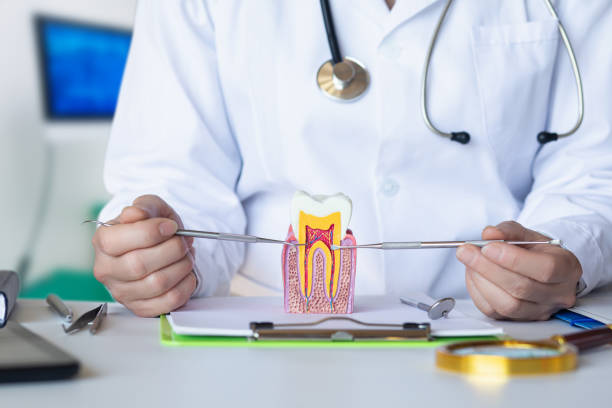 Best After-Hours Emergency Dentist in Hillsborough, NC